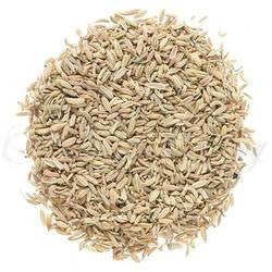 Organic Fennel