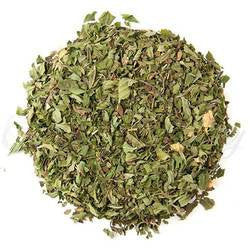 Organic Peppermint Willamette
