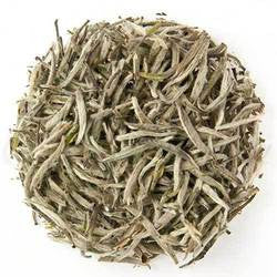 Organic Silver Swallow